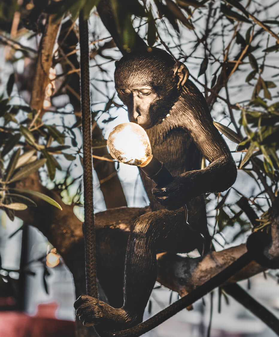 Dekoration, Restauranteinrichtung, Konzept und Beleuchtung von der id Werkstatt aus Vorchdorf - Detailaufnahme von einer Affen-Leuchte in den Olivenbaumblättern, Keramik Tier Skulptur mit Leuchtmittel von der Firma Karman Lights 