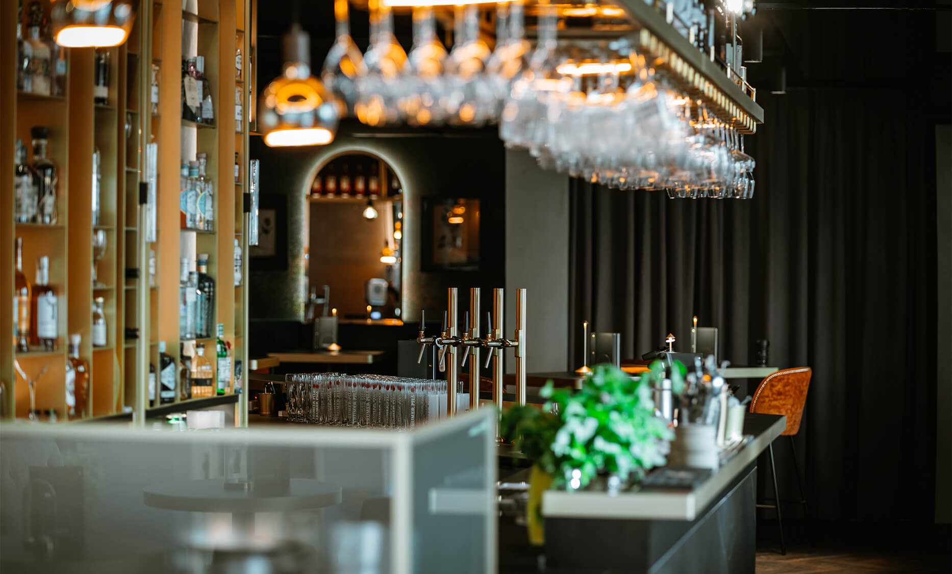 Detailfoto über die Bartheke, hindurch das Gläserregal zu den Dinersitzbänken im Erbario in Schwaz