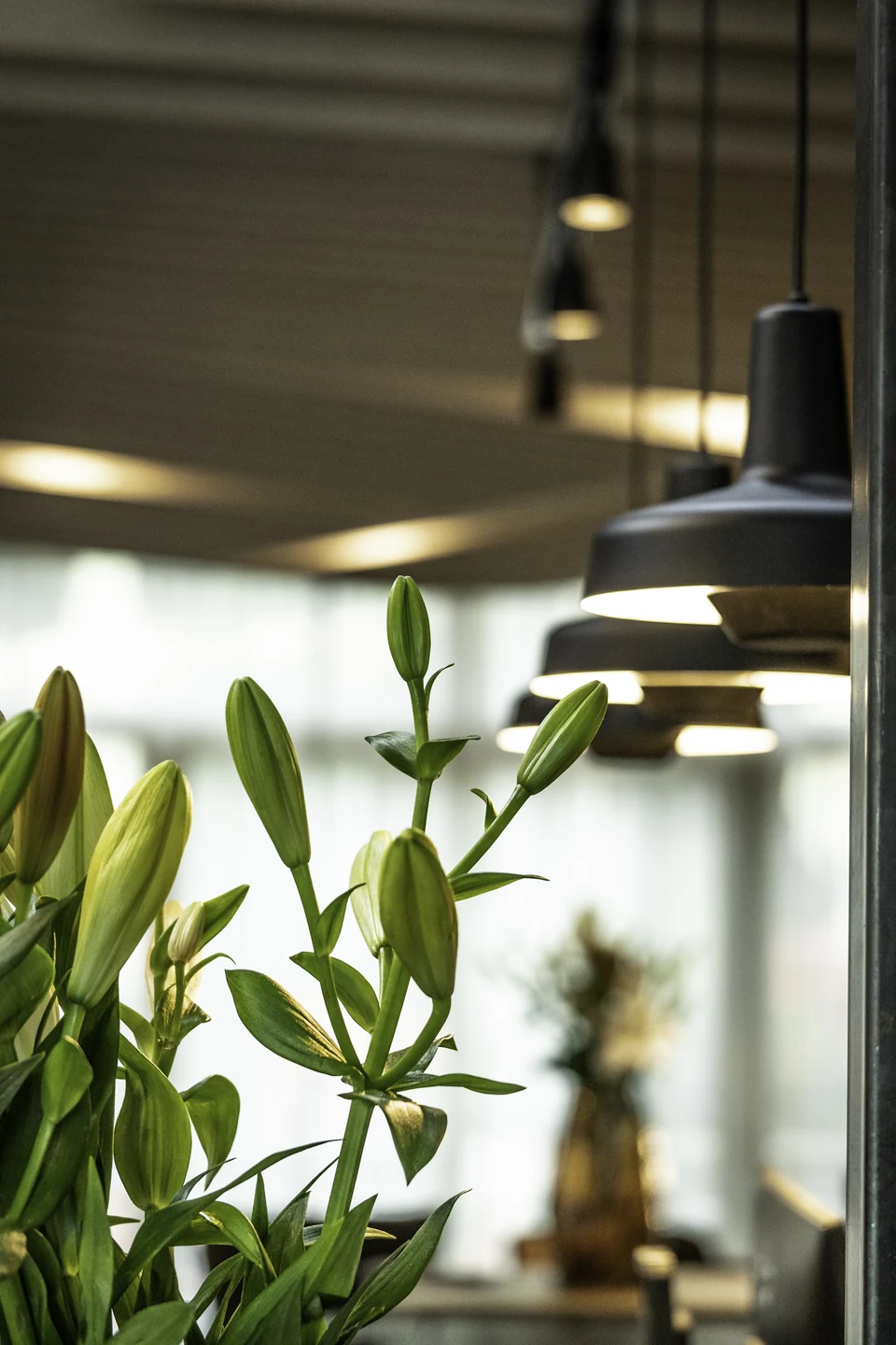 Detailaufnahme in der Lobby des IKUNA Tipi Hotel Natternbach mit frischen Lilienknospen im Vordergrund, schwarzen Industriependelleuchten und dem Rezeptionsbereich im Hintergrund.