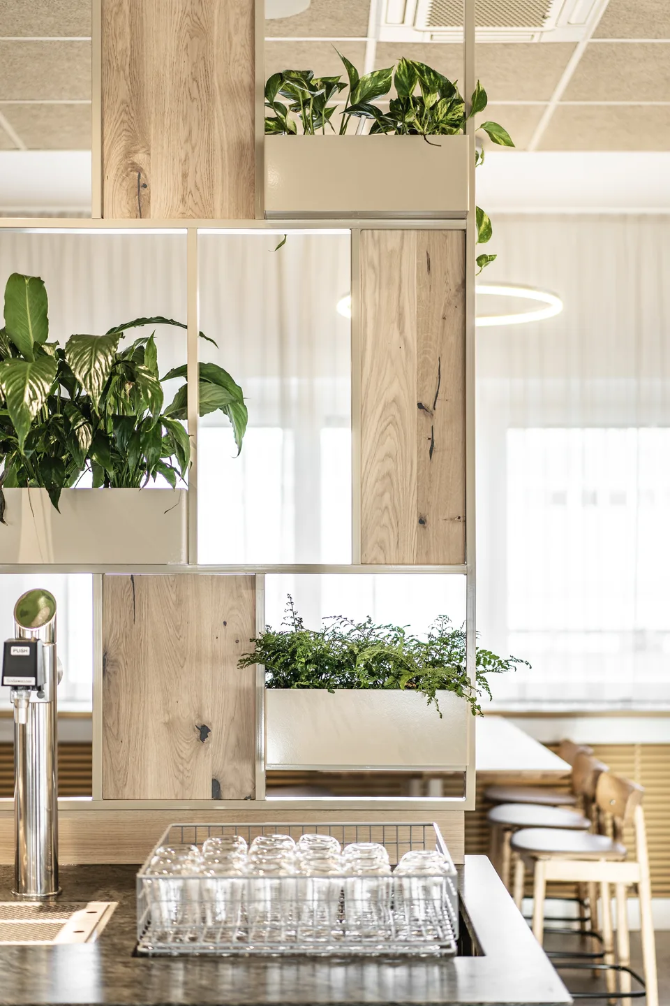 Detailaufnahme des Holz-Metall-Raumteilers mit Pflanzen, Gläserkorb und Zapfsäule an der Buffettheke im Spitzeria Attnang.