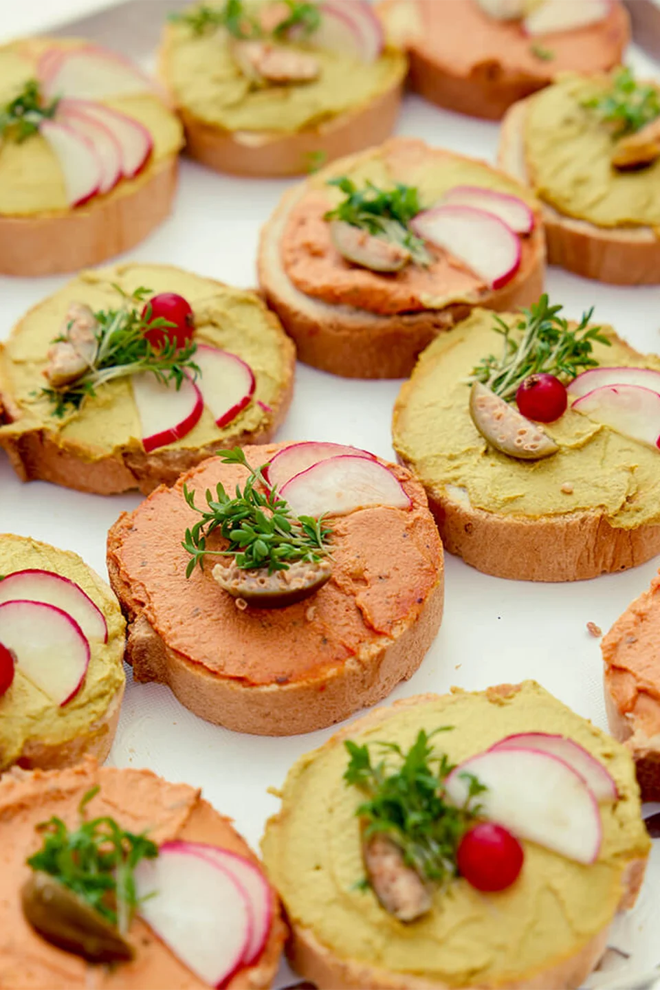 Tablett mit frisch belegten Canapés auf Baguettescheiben, garniert mit Radieschen, Kresse und Cocktailtomaten in zwei verschiedenen Aufstrichvarianten.