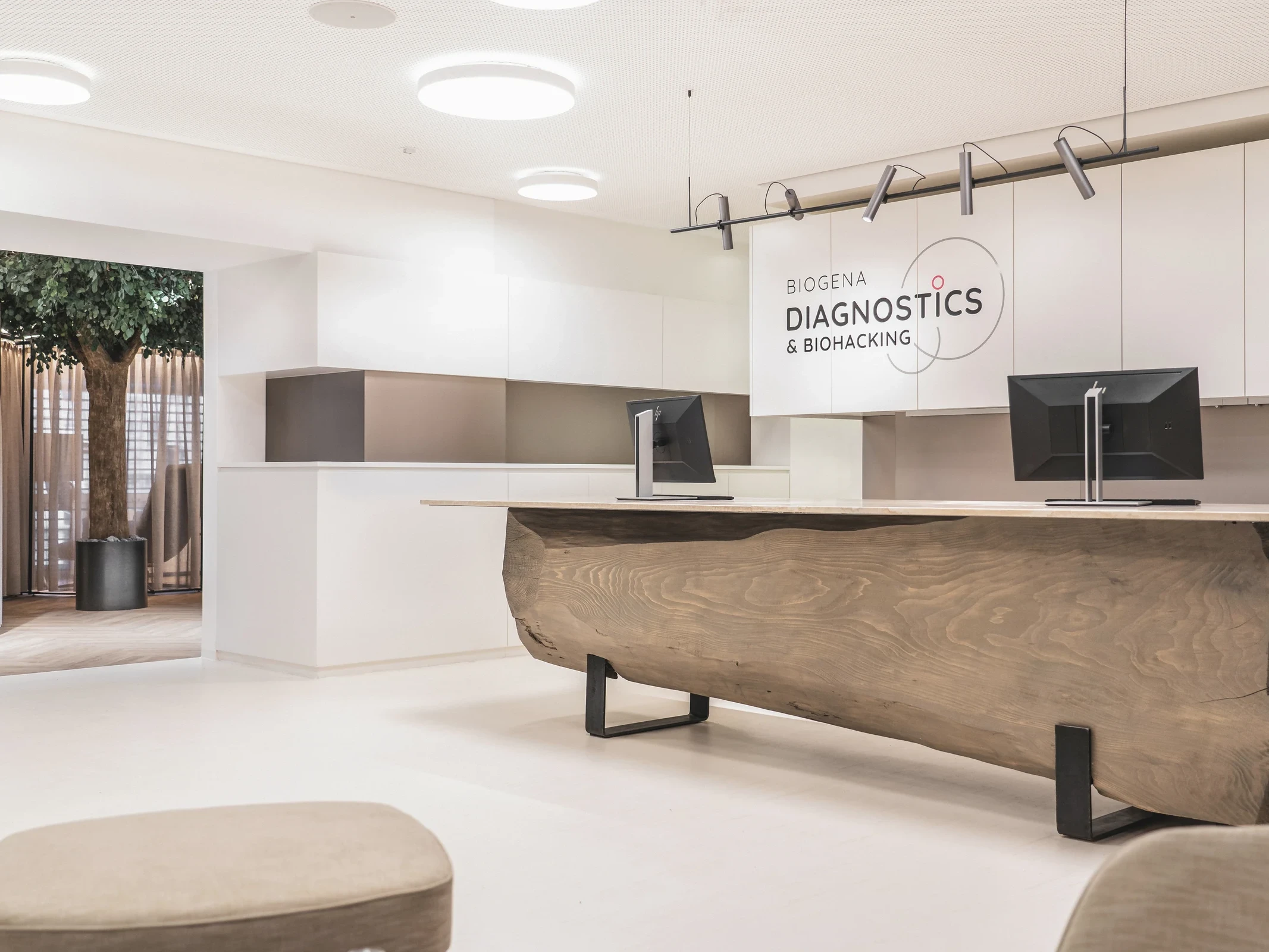 Empfangsbereich von Biogena Diagnostics & Biohacking in Wien mit markanter Naturholztheke aus einem Baumstamm, hellen Wänden und Blick in den begrünten Loungebereich