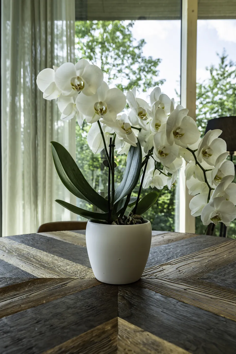Detailaufnahme im Restaurant des IKUNA Natternbach mit einer weißen Orchidee im weißen Keramiktopf auf einem rustikalen Holztisch mit Fischgrätmuster, im Hintergrund ein Panoramafenster mit Waldblick.