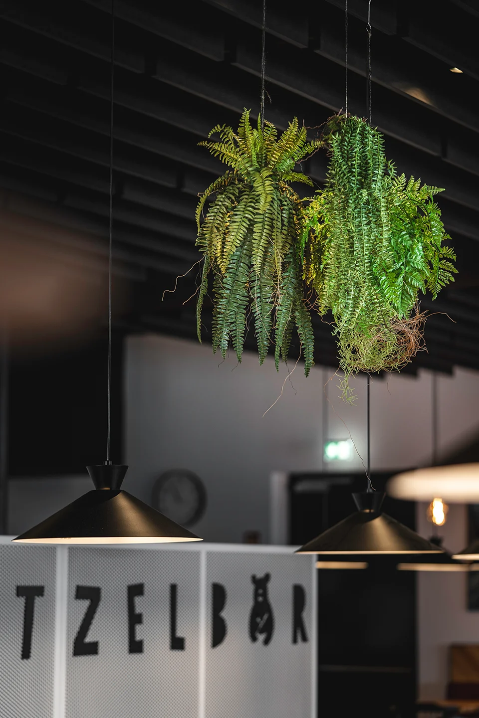 Deckengestaltung mit Akustikpaneelen, Pflanzen und Hängelampen zur Verbesserung der Raumakustik im SB Restaurant