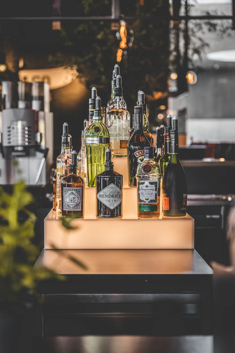 Detailaufnahme eines beleuchteten Spirituosenaufstellers auf dem Bartresen des Taco Taco in Lustenau mit Hendrick's Gin, Monkey 47, Tanqueray und weiteren Flaschen.