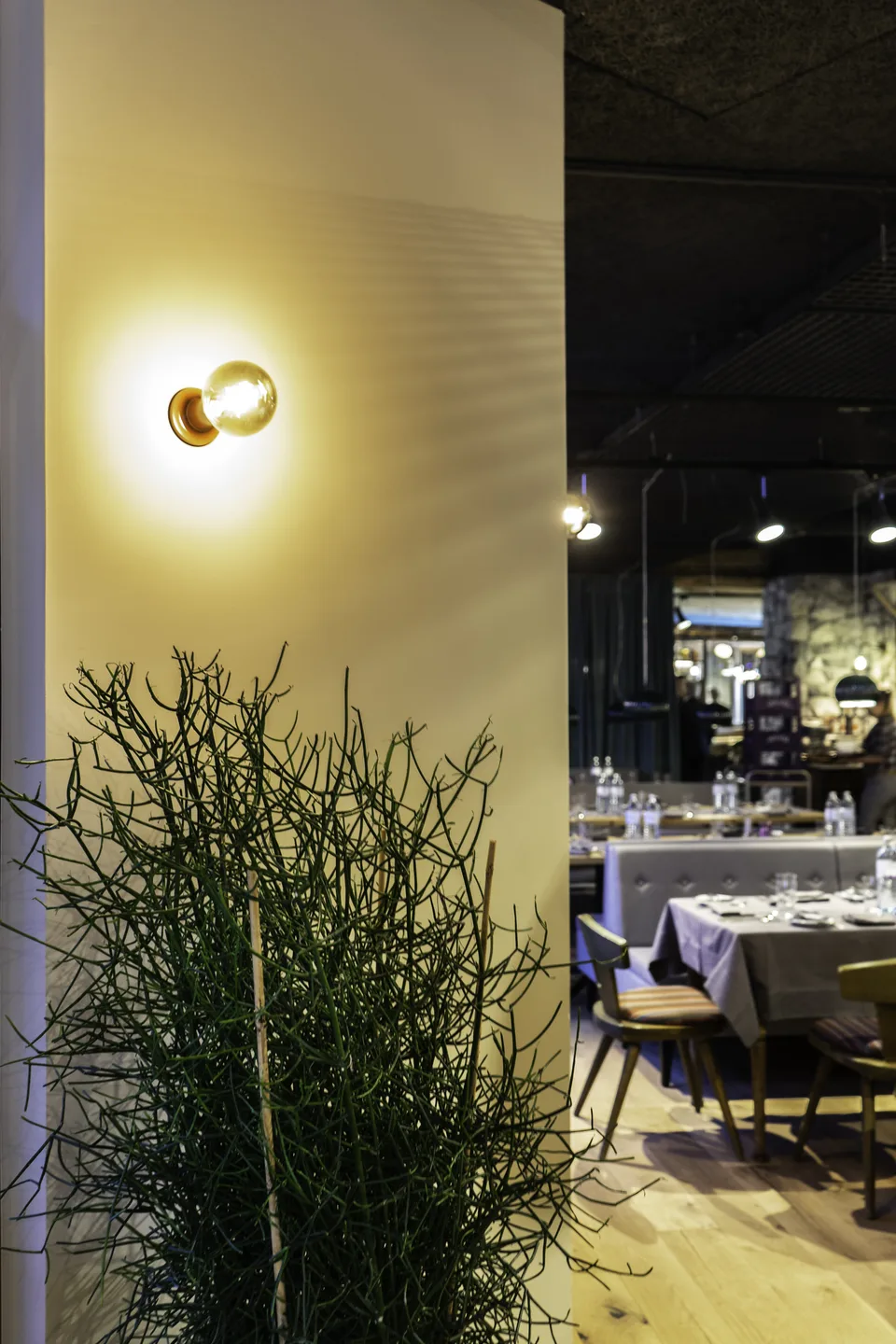 Detailaufnahme einer goldenen Wandleuchte mit Edison-Bulb und grüner Zweigpflanze vor weißer Wand in der Venediger Lodge Neunkirchen, im Hintergrund gedeckte Tische und Sitzbank im Gastraum.