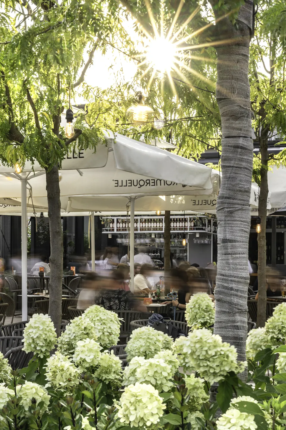Gut besuchter Gastgarten des Wrannissimo in Velden mit weißen Sonnenschirmen, Bäumen, Outdoorbar im Hintergrund und blühenden Hortensien im Vordergrund.